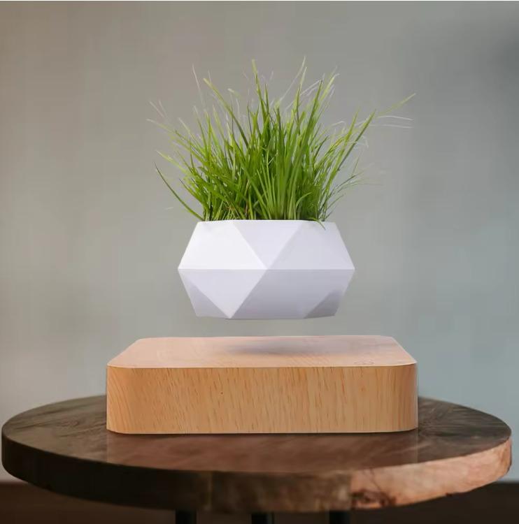 Creative Wooden Magnetic Levitation Bonsai Flower Pot Floating Plant for Special Gift Item Novelty Gifts